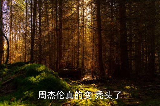 周杰倫真的變 禿頭了