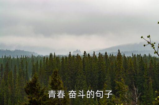  青春 奮斗的句子