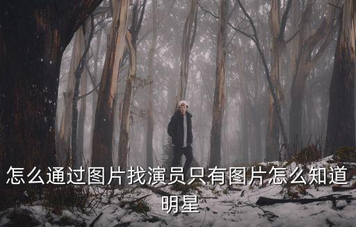 圖片明星,如何用地圖搜索明星檔找到明星?