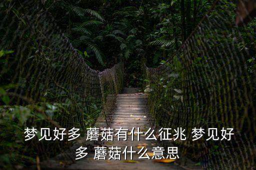 夢(mèng)見(jiàn)蘑菇,古代女性是配偶，蘑菇也可以代表你的另一半