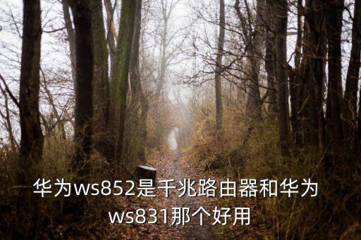 ws831,華為榮耀旗由三大問題致電腦反應慢