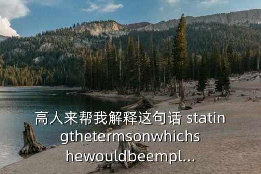 高人來幫我解釋這句話 statingthetermsonwhichshewouldbeempl...