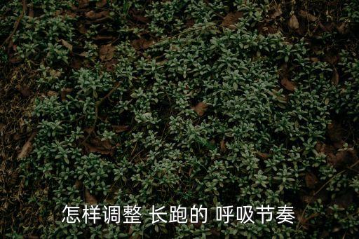 怎樣調(diào)整 長跑的 呼吸節(jié)奏