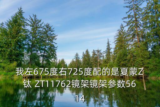東莞恒宏眼鏡 夏蒙，東莞買(mǎi)眼鏡哪里好