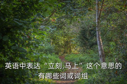 英語中表達“立刻,馬上”這個意思的有哪些詞或詞組