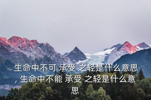 生命不可承受之輕,中國不能-1之輕