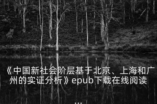 《中國新社會階層基于北京、上海和廣州的實證分析》epub下載在線閱讀...