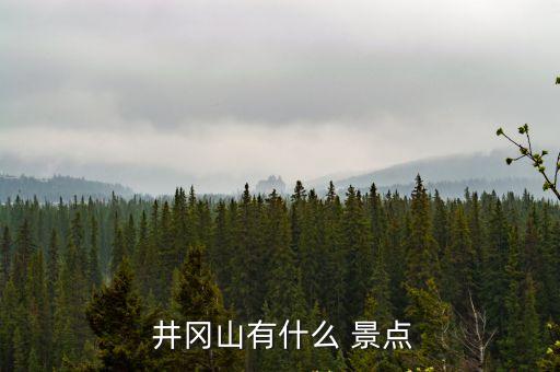 井岡山景點簡介,井岡山風景名勝區11景點
