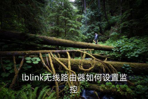 lblink,修改無線路由器密碼方法如下!