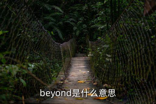 beyand,武漢出現第一起確診病例湖北首現病例