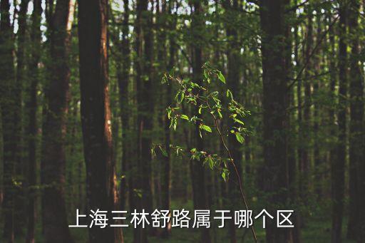 上海三林舒路屬于哪個區(qū)