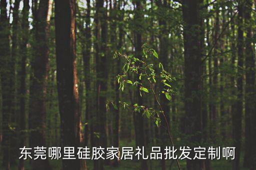 東莞哪里硅膠家居禮品批發(fā)定制啊