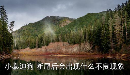 小泰迪狗 斷尾后會出現(xiàn)什么不良現(xiàn)象