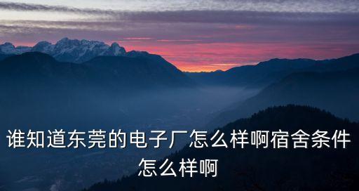 東莞恒亮電子廠怎么樣，誰知道東莞的電子廠怎么樣啊宿舍條件怎么樣啊