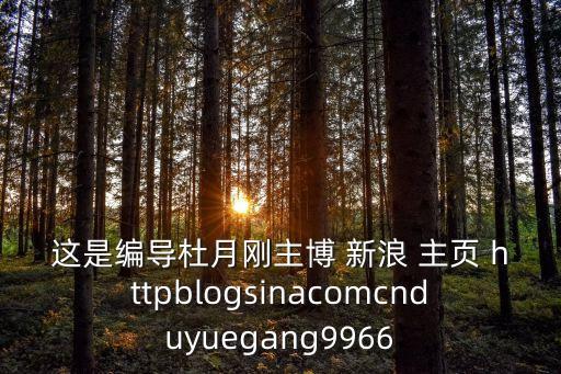 這是編導杜月剛主博 新浪 主頁 httpblogsinacomcnduyuegang9966