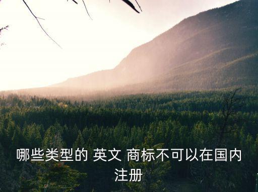 哪些類型的 英文 商標不可以在國內注冊