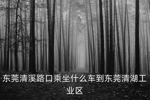 東莞清溪路口乘坐什么車到東莞清湖工業區