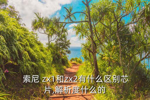  索尼 zx1和zx2有什么區別芯片,解析度什么的