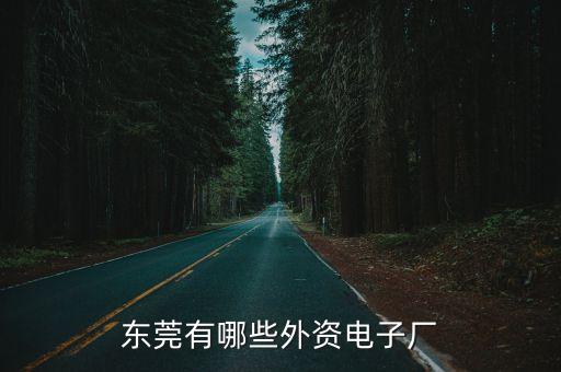 東莞有哪些外資電子廠