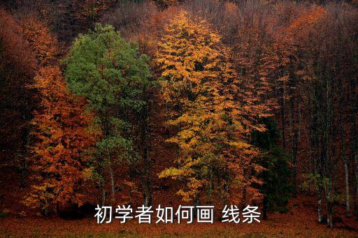 線條畫,如何練習線條美術館推出線上教學平臺