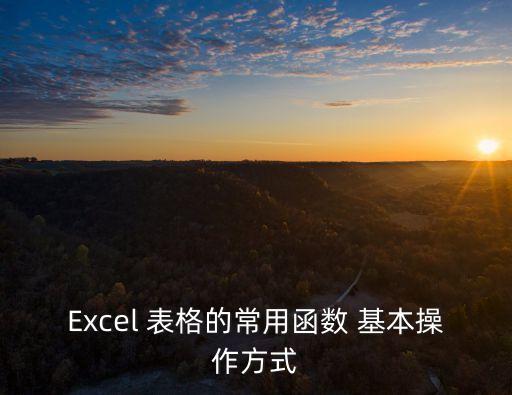 Excel 表格的常用函數(shù) 基本操作方式