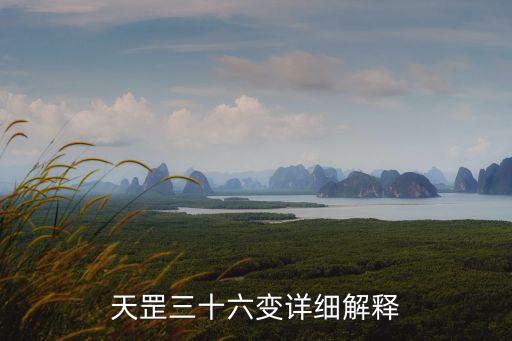 天罡三十六變詳細(xì)解釋