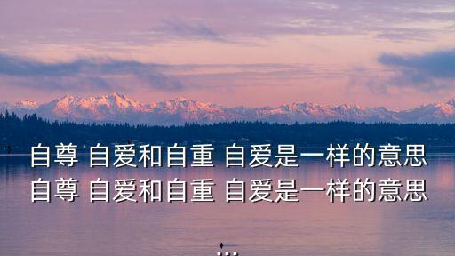 自尊 自愛和自重 自愛是一樣的意思自尊 自愛和自重 自愛是一樣的意思...