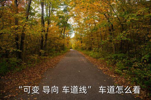 導向車道線,導向車道須遵循什么樣的車道指標?