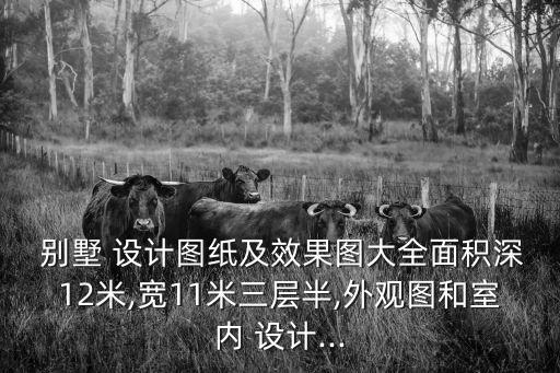  別墅 設(shè)計(jì)圖紙及效果圖大全面積深12米,寬11米三層半,外觀圖和室內(nèi) 設(shè)計(jì)...