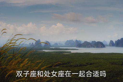雙子座和處女座合不合，處女座跟雙子座合嗎