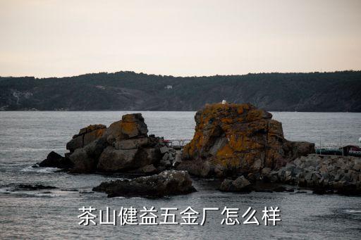 茶山健益五金廠怎么樣