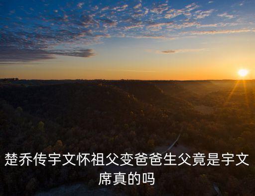 宇文玥父親，宇文邕的父親是誰