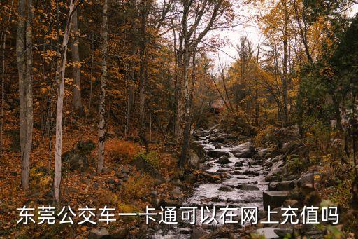 東莞公交車一卡通可以在網上充值嗎