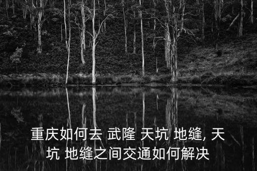 重慶如何去 武隆 天坑 地縫, 天坑 地縫之間交通如何解決