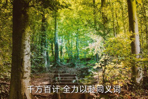 千方百計 全力以赴同義詞
