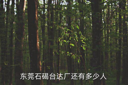 東莞石碣臺達廠還有多少人