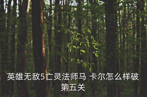 英雄無敵5亡靈法師馬 卡爾怎么樣破第五關(guān)