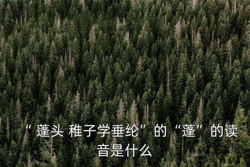 蓬頭稚子,《小兒釣魚》第二集:蓬頭稚子學釣魚