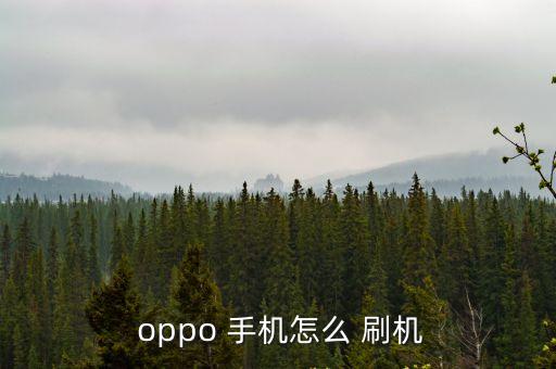  oppo 手機怎么 刷機