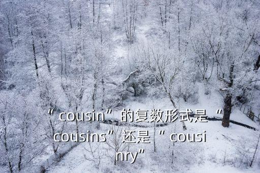 “ cousin”的復數(shù)形式是“ cousins”還是“ cousinry”