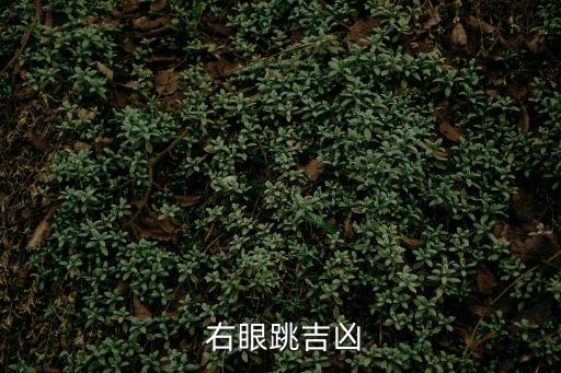  右眼跳吉兇