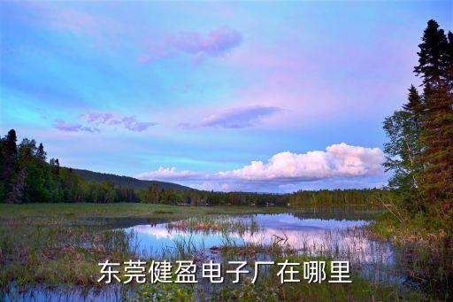 東莞健盈電子廠在哪里