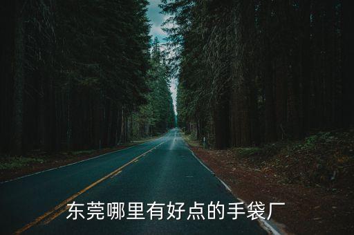 東莞哪里有好點的手袋廠