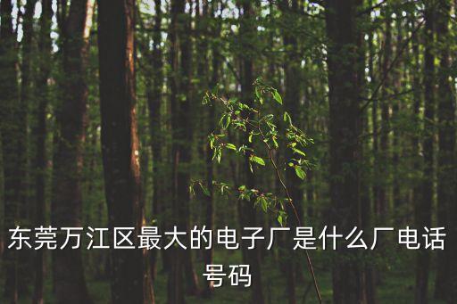 東莞萬江區最大的電子廠是什么廠電話號碼