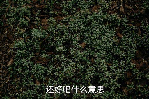  還好吧什么意思