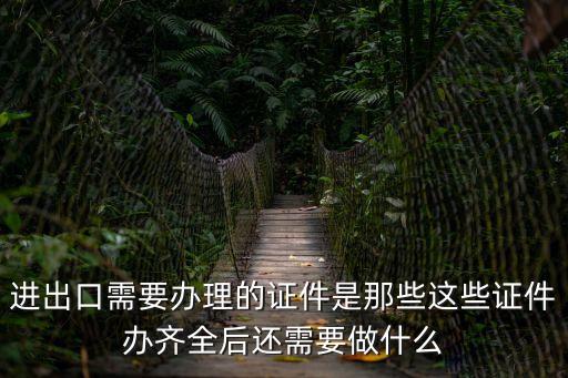 進出口需要辦理的證件是那些這些證件辦齊全后還需要做什么