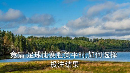 競猜 足球比賽勝負平時,如何選擇 投注結果