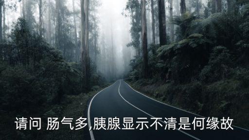 腸氣,腸道氣體堆積過多干擾超聲診斷顯示不清晰