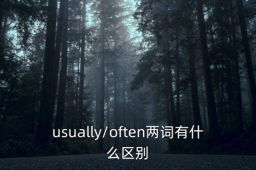 usually/often兩詞有什么區別
