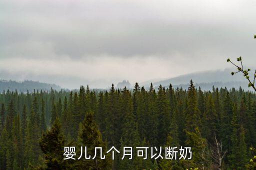 小孩幾個月斷奶，嬰兒幾個月斷奶最合適